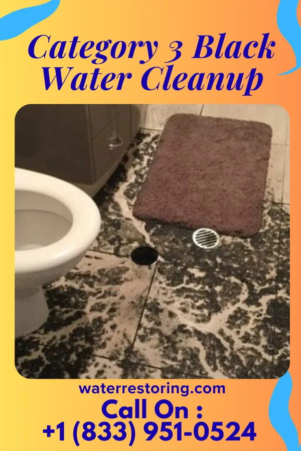 Category 3 Black Water Cleanup in Rosedale, NM